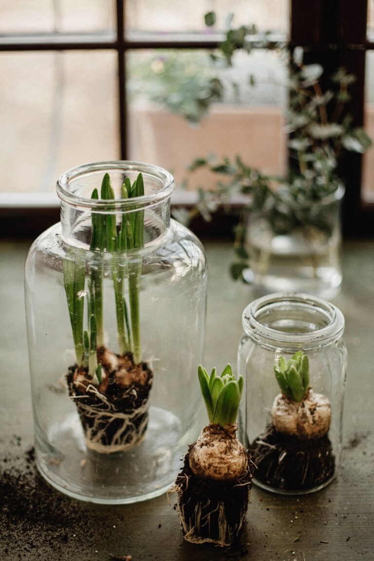 Tavaszi florárium friss mohával